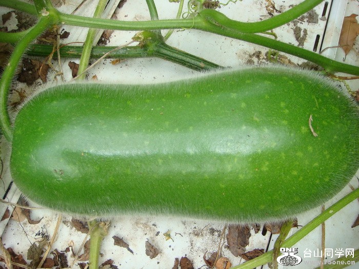ë.jpg