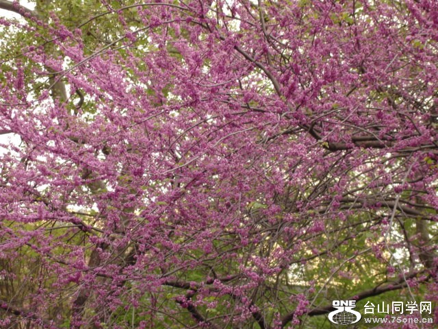 2012Apr 020.JPG