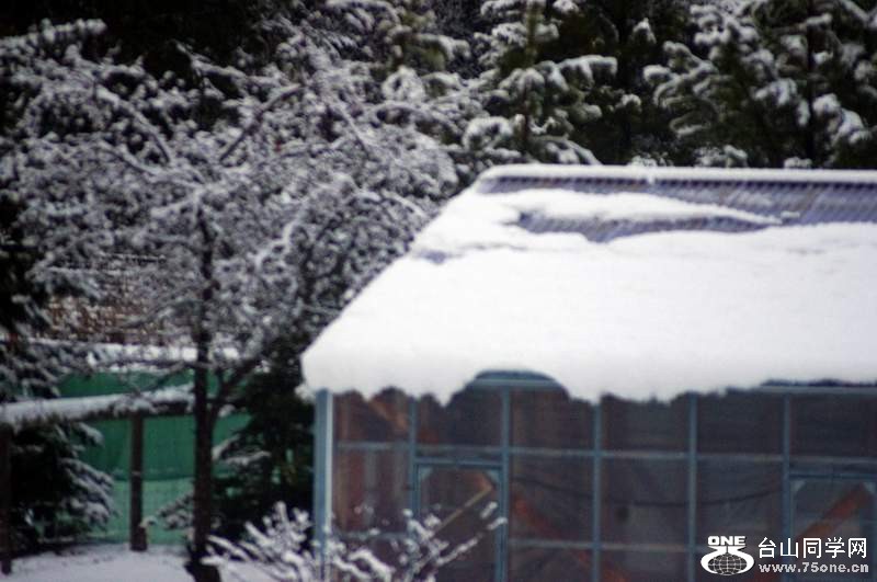 2010 10889520.jpg