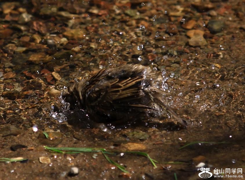 }u -ձ@12-4 248-c.jpg