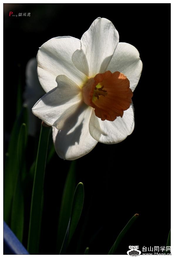 }u -ձ@12-5 015-a.jpg