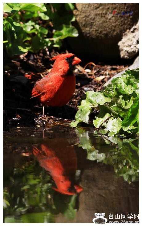 }u -ձ@12-3 200-s.jpg