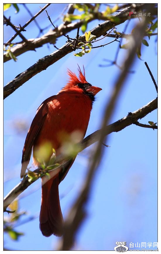 }u -ձ@12-3 246-a.jpg