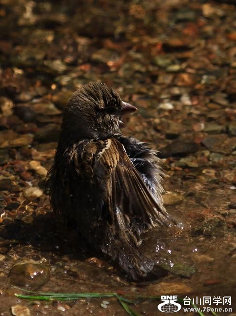 }u -ձ@12-4 252-c.jpg