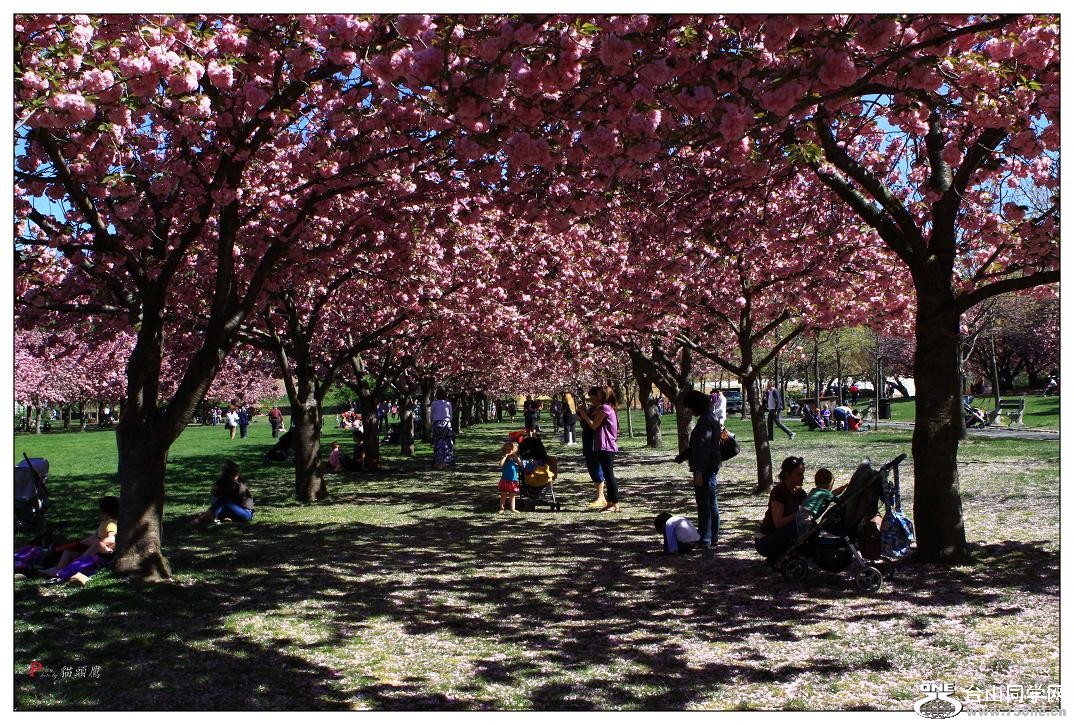 }u -ձ@12-5 089-a.jpg