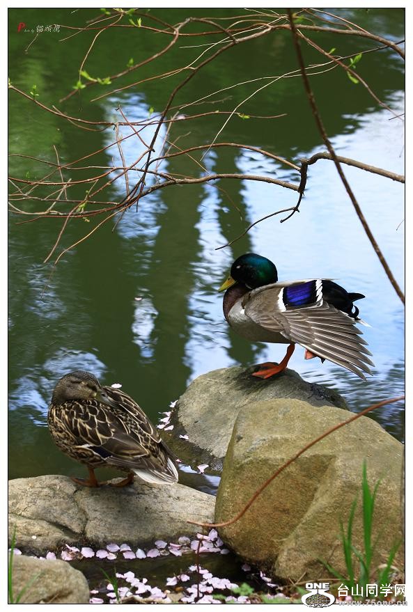 }u -ձ@12-5 334-a.jpg