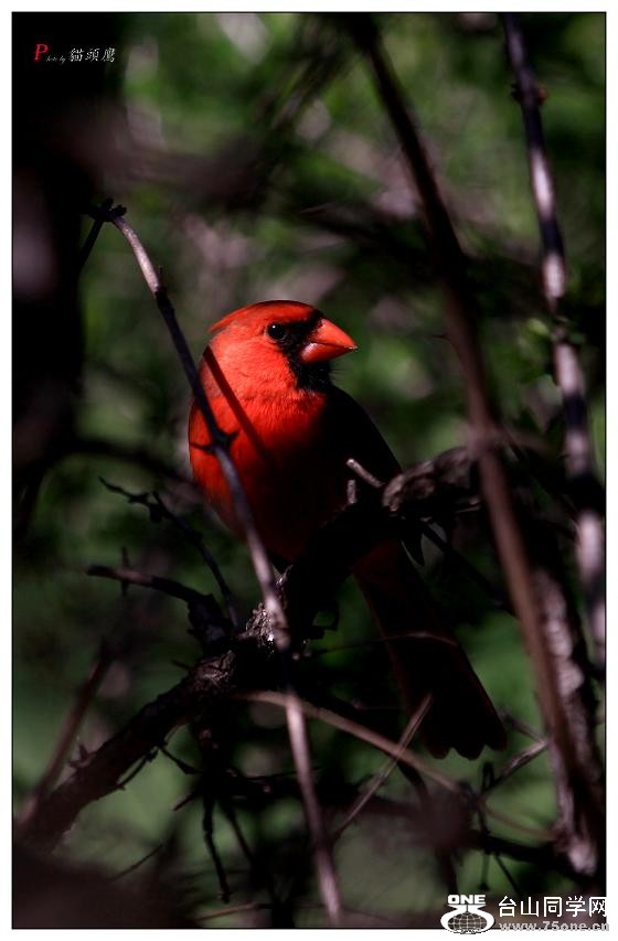 }u -ձ@12-3 259-a.jpg