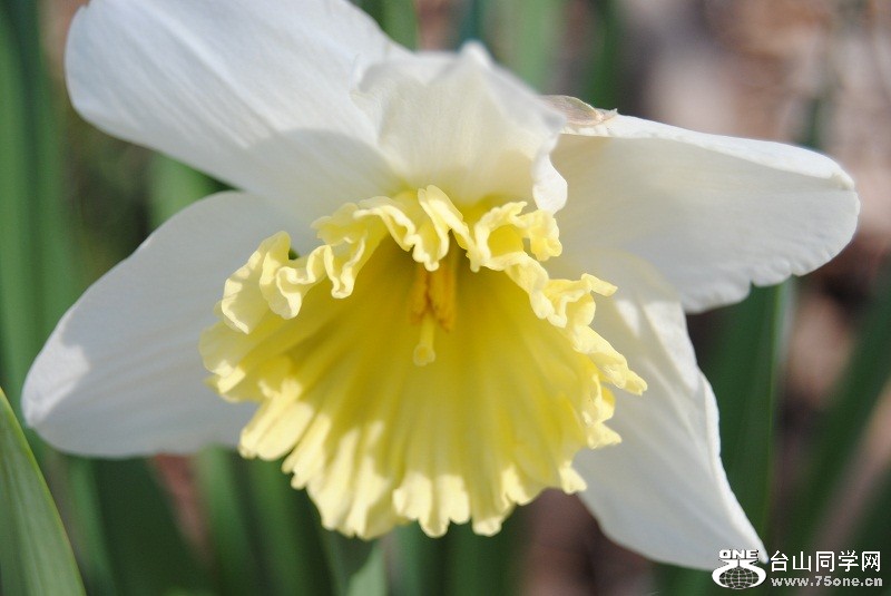 DSC_1041.JPG