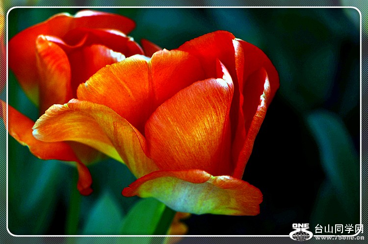 dsc_1045.jpg