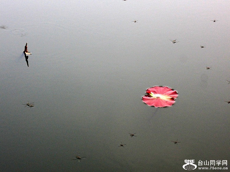 ɽѧУ12410 192_conew1.jpg