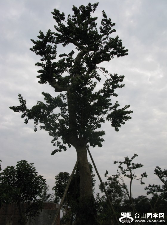 110.jpg