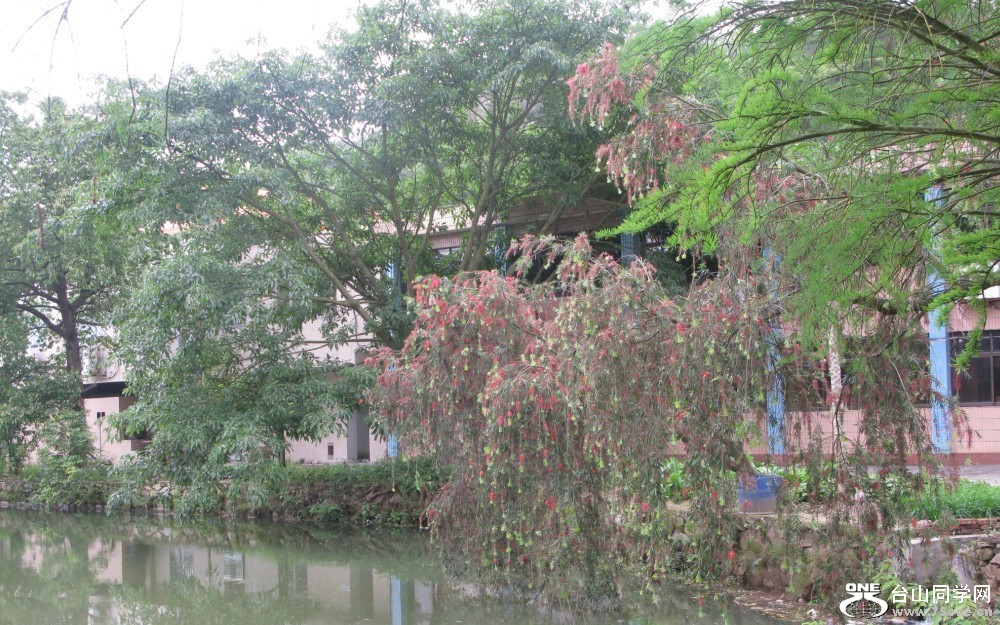 76.jpg