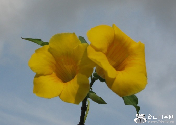 68.jpg