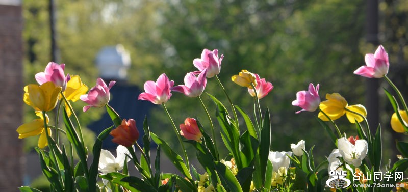 Spring 093.jpg