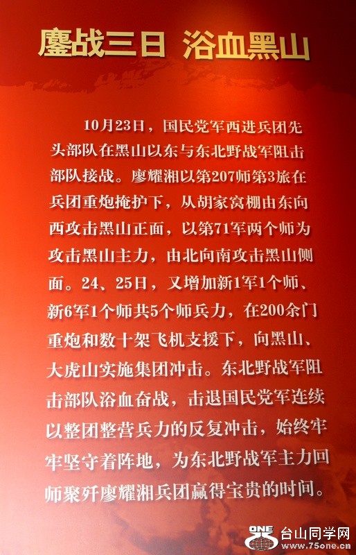 DSC05374a.jpg
