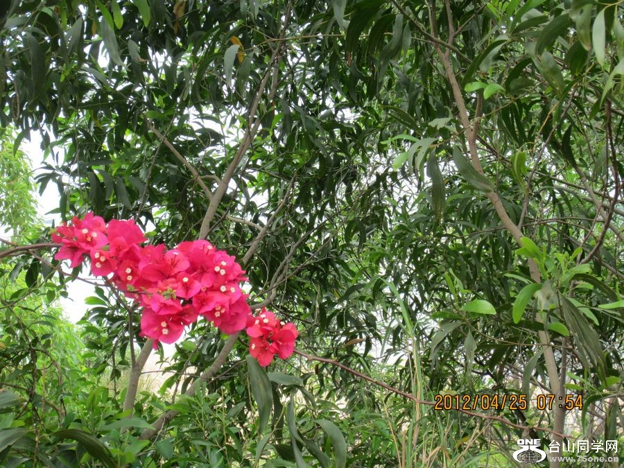 Ƭ 120.jpg