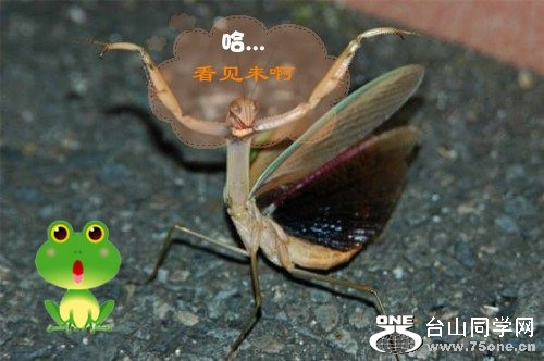 ޱ_conew2.jpg