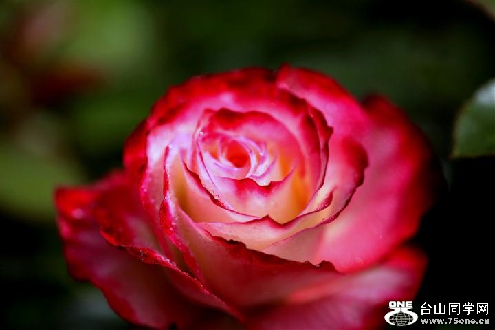 IMG_09944.jpg1 (Small).jpg