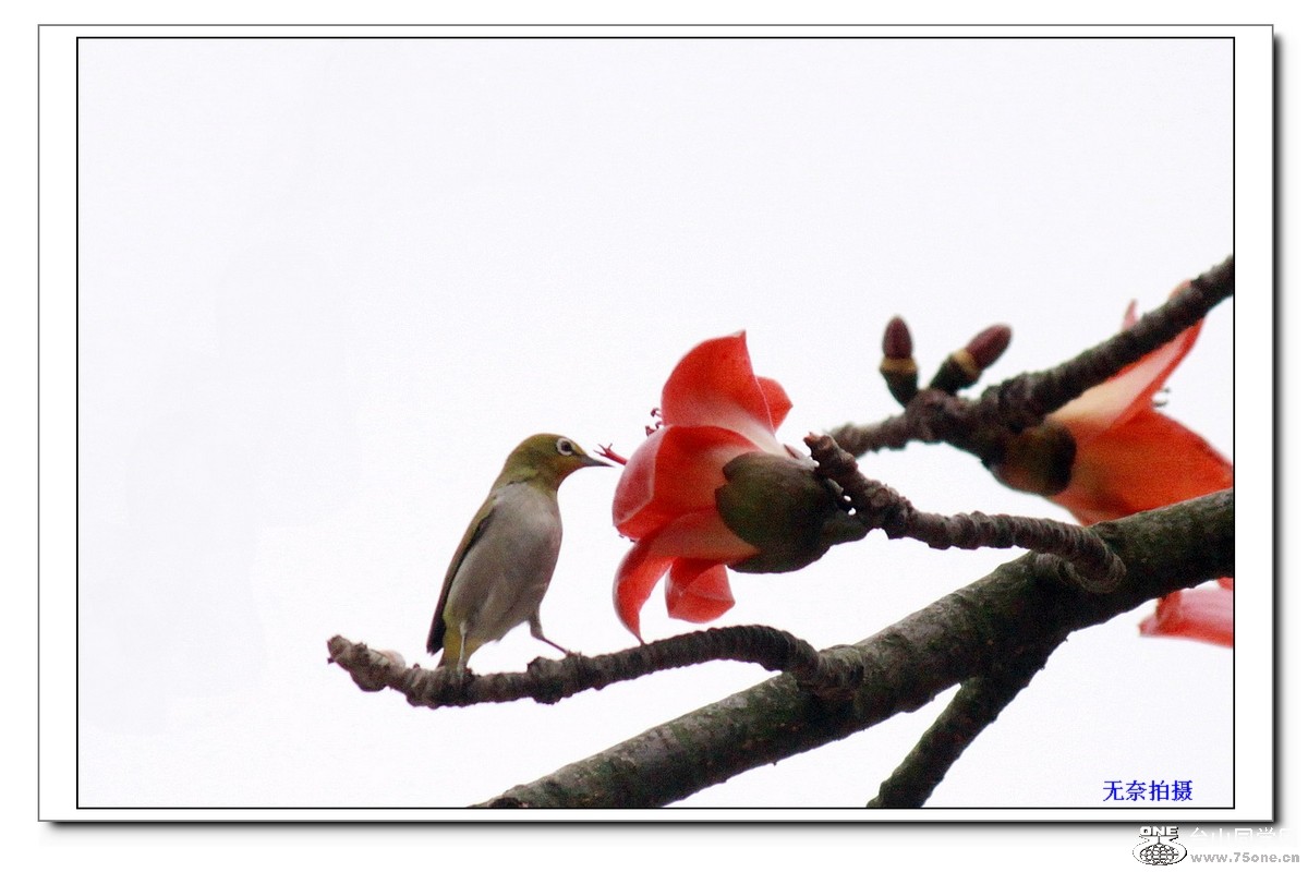 IMG_4034X.jpg