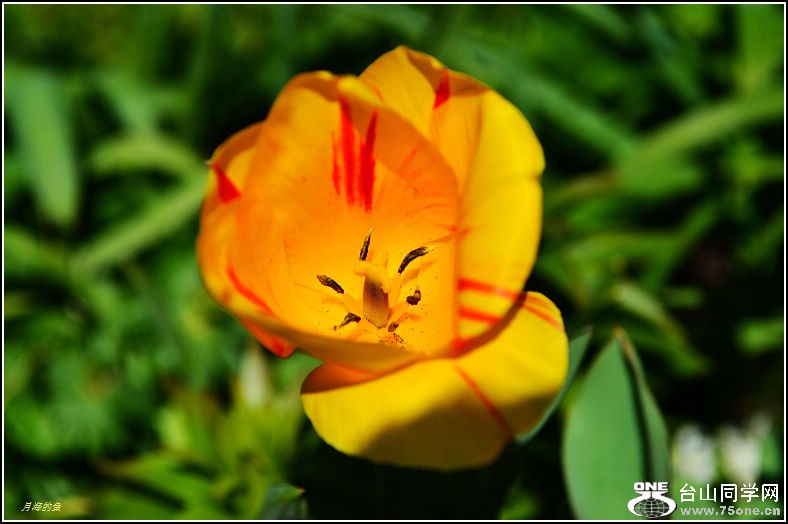 DSC_0282.jpg