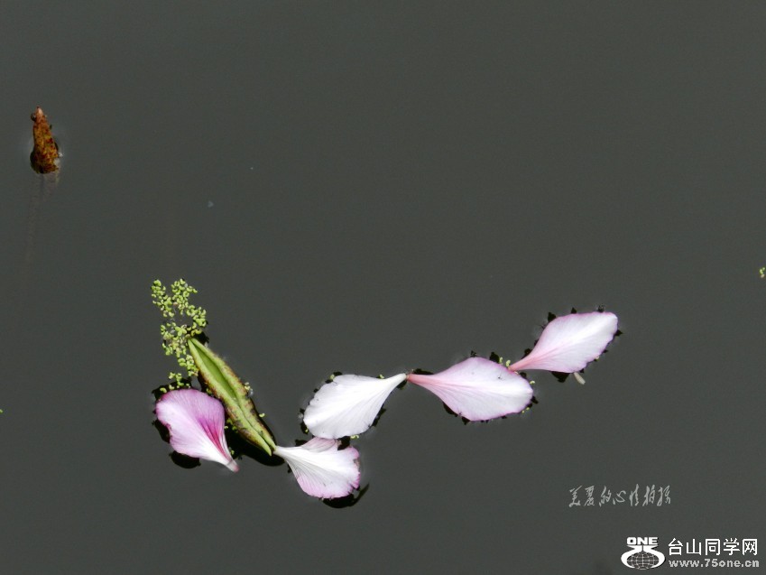 20120405԰ֺɻϾ 150_conew2.jpg