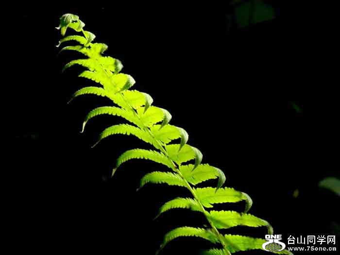 DSC05444a.jpg