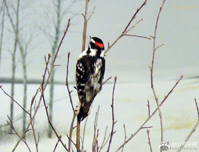 2012_040910776.JPG