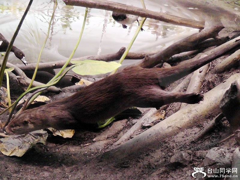 2012_040910765.JPG