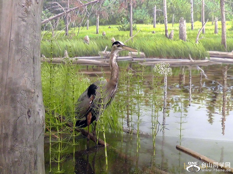 2012_040910764=.jpg