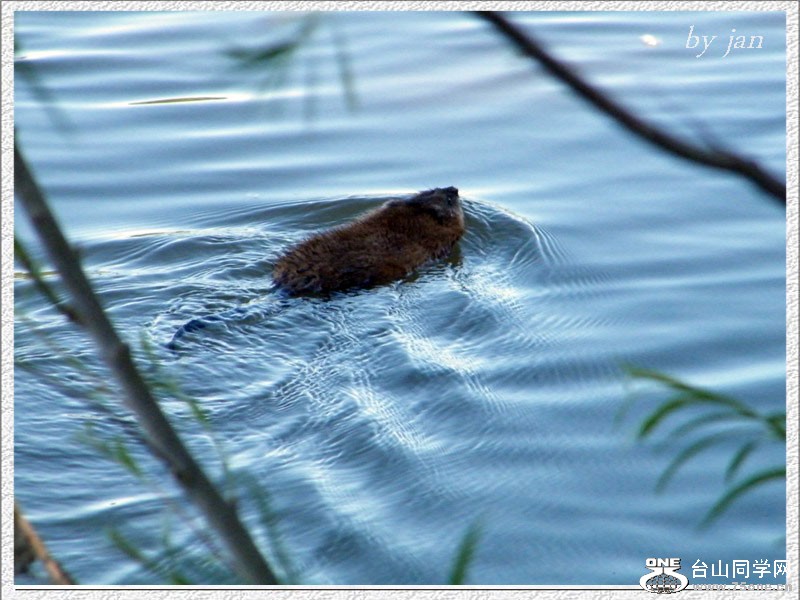 DSCF1647=.jpg