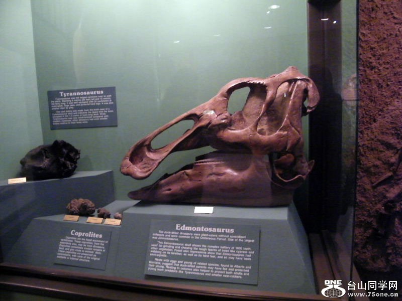 DSCF3497.JPG