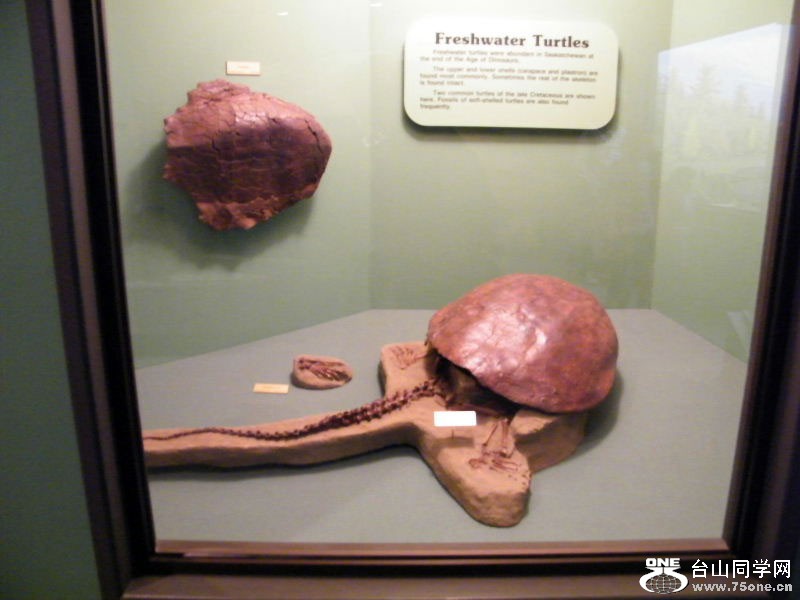DSCF3498.JPG
