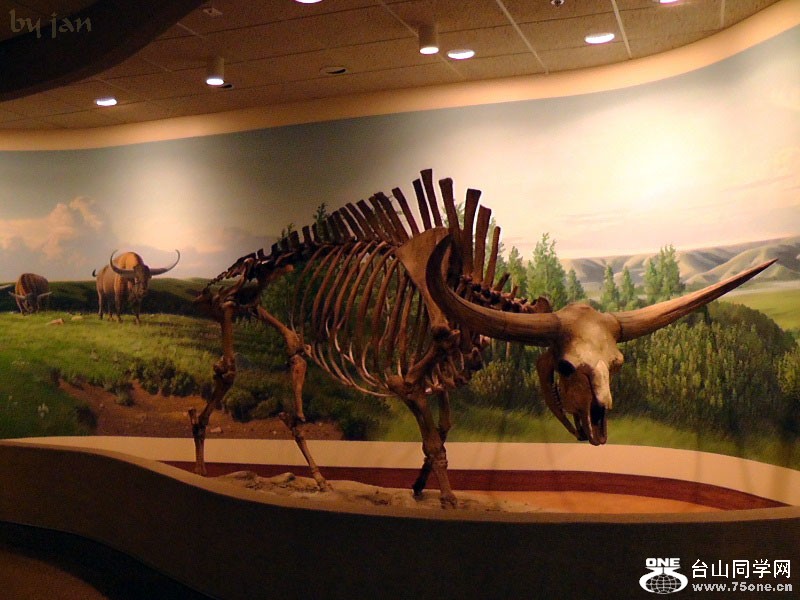 2012_040910829=.jpg