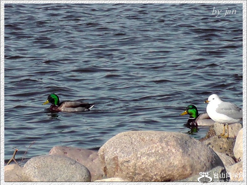 2012_040910956=.jpg