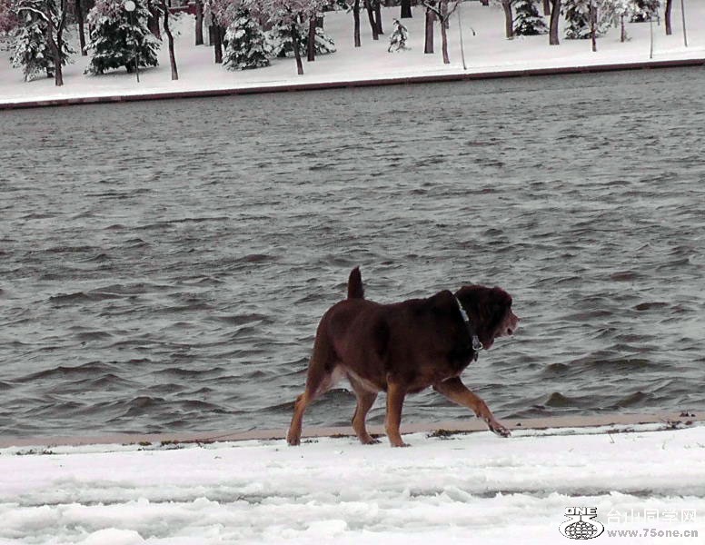 2012_040910350=.jpg