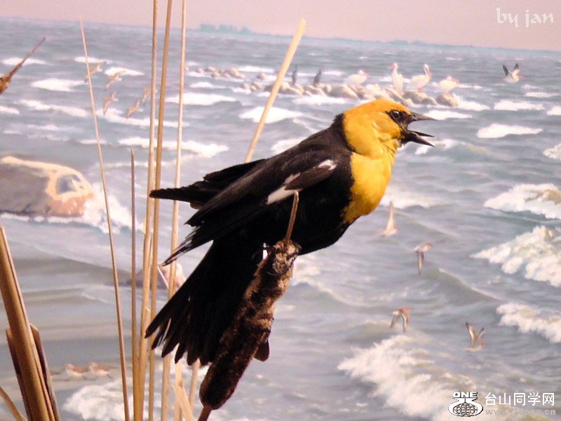 2012_040910778=.jpg