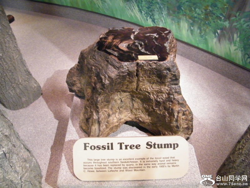 DSCF3506.JPG