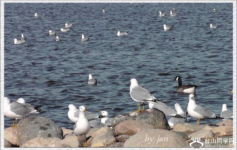 2012_040910948=.jpg