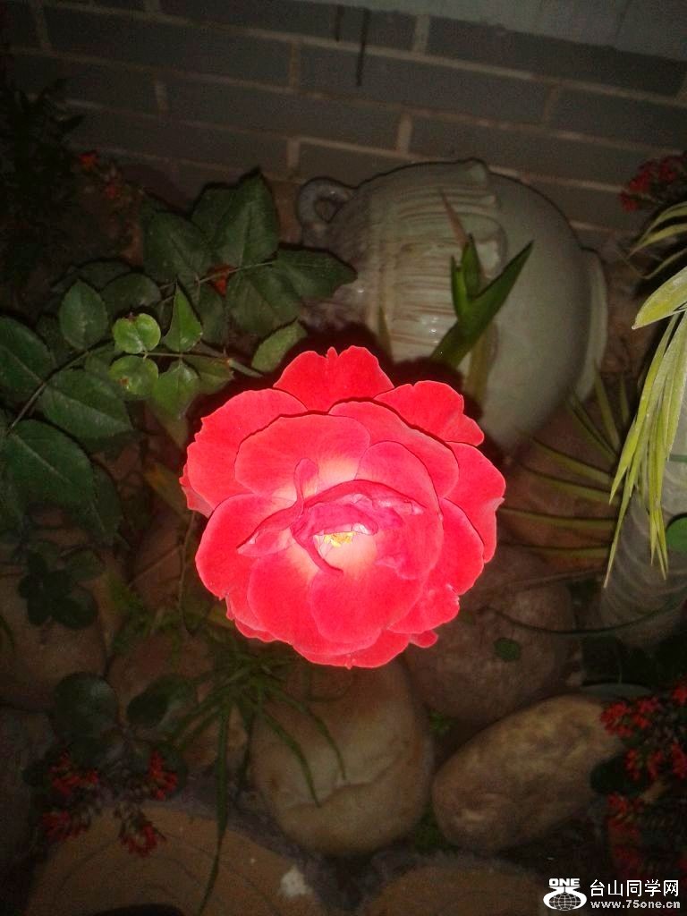 2012-04-07 20.54.00.jpg