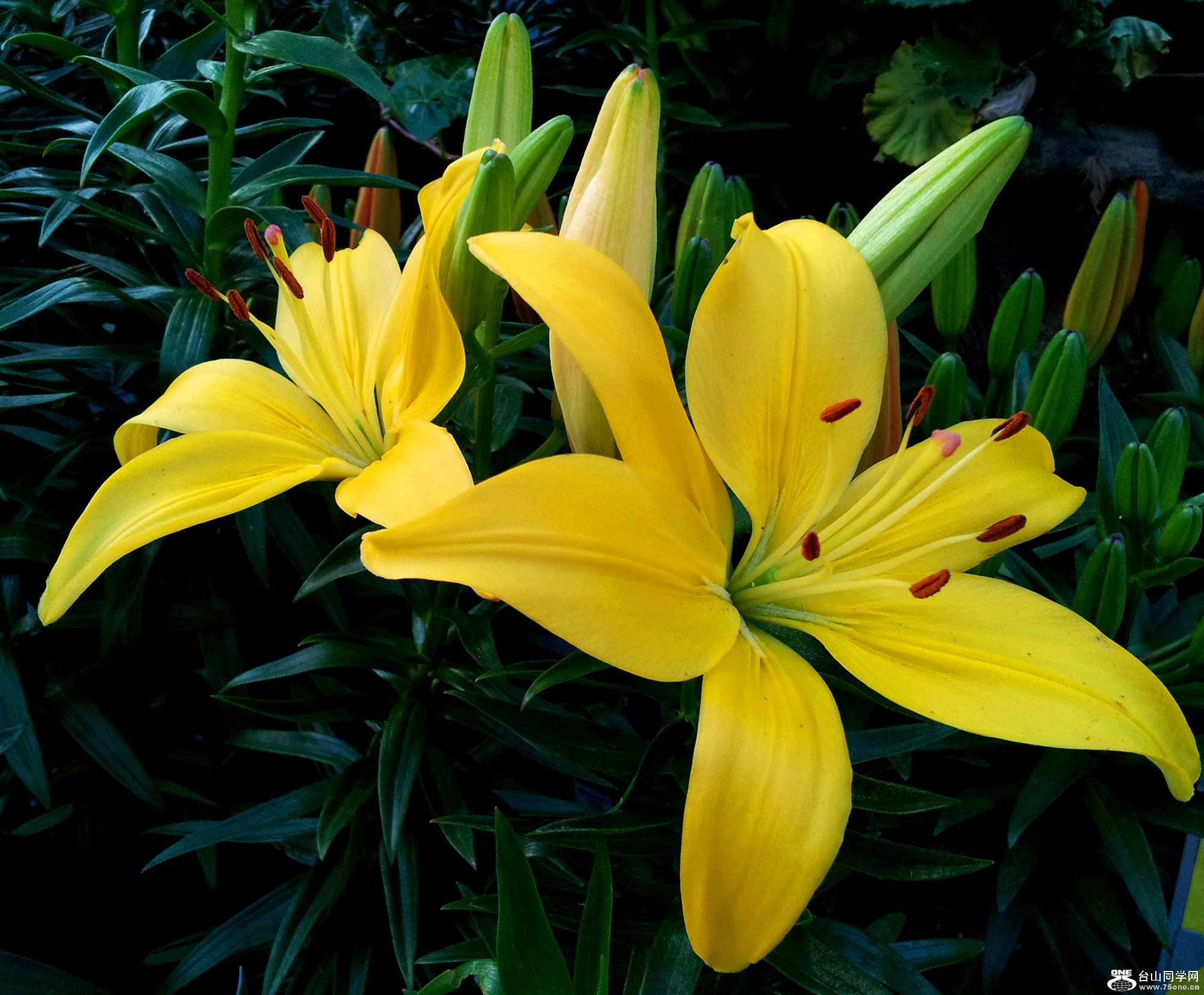 20120423_192805_19.jpg