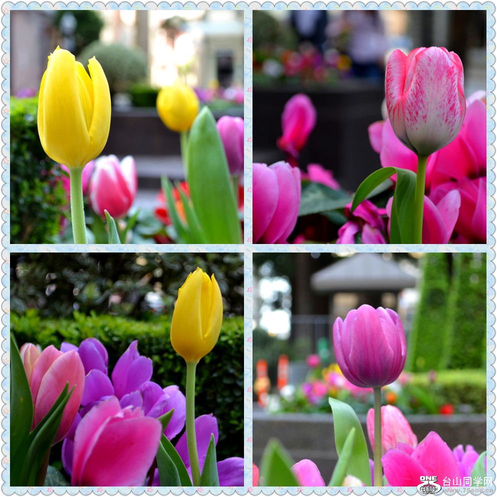 DSC_0039_cp_cp.jpg