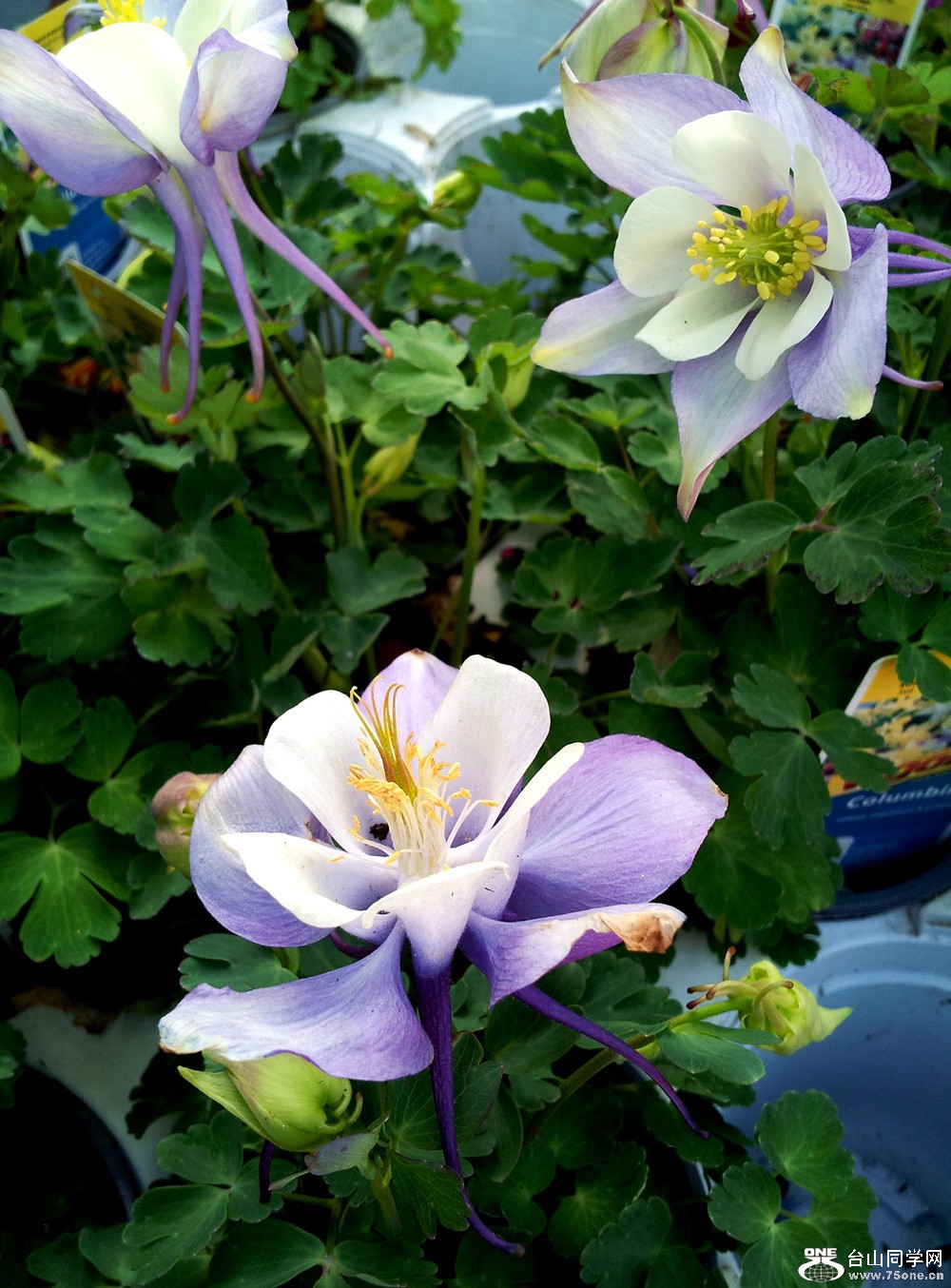 20120423_185144_28.jpg