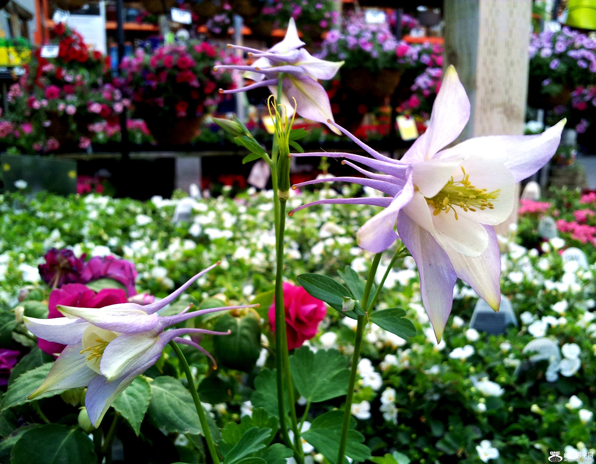 20120423_185355_29.jpg