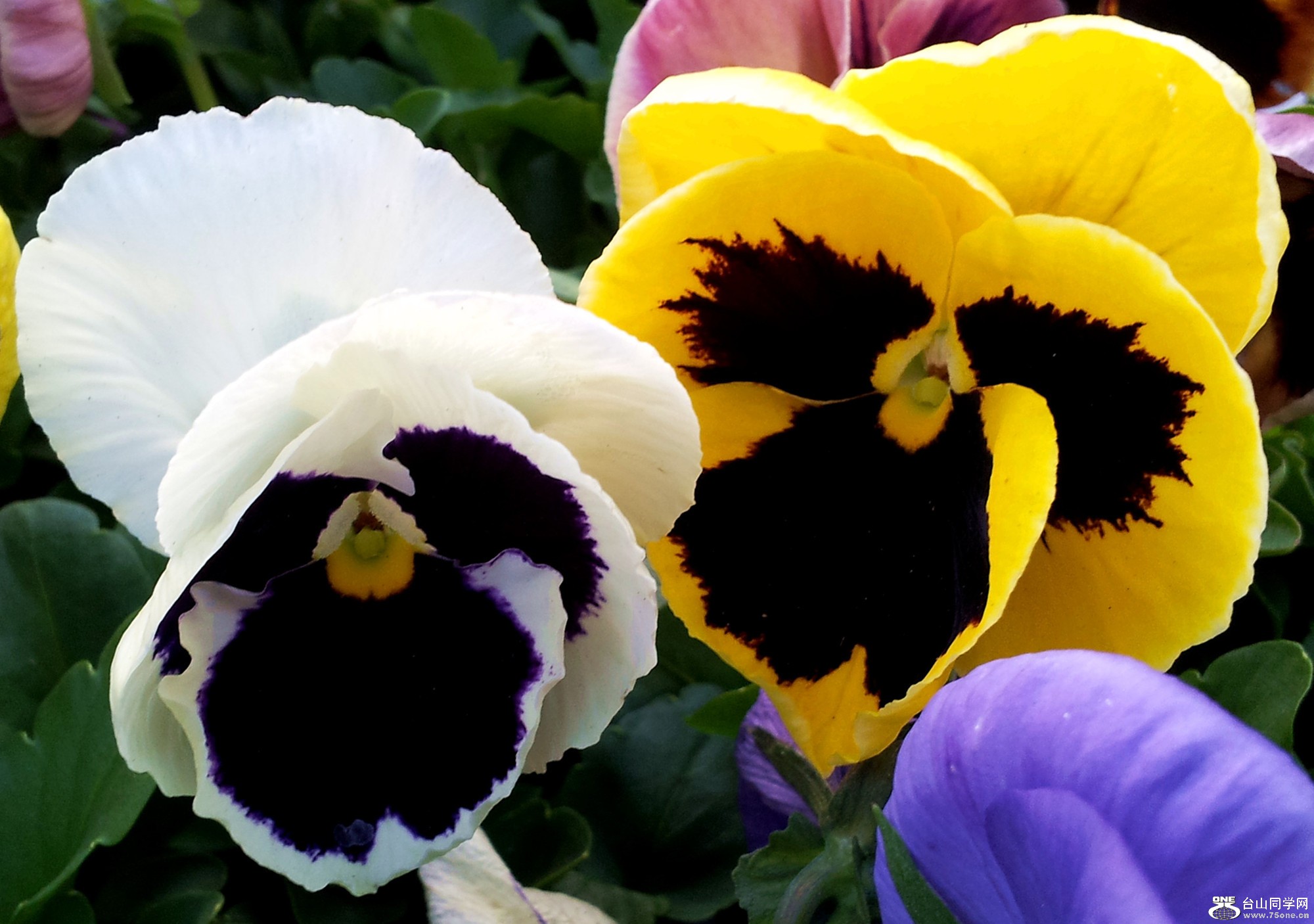 20120423_185717_21.jpg