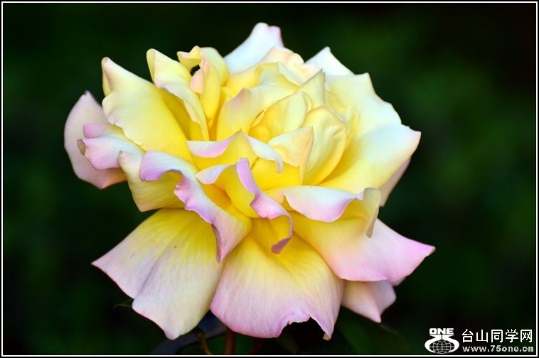 DSC_3743.jpg