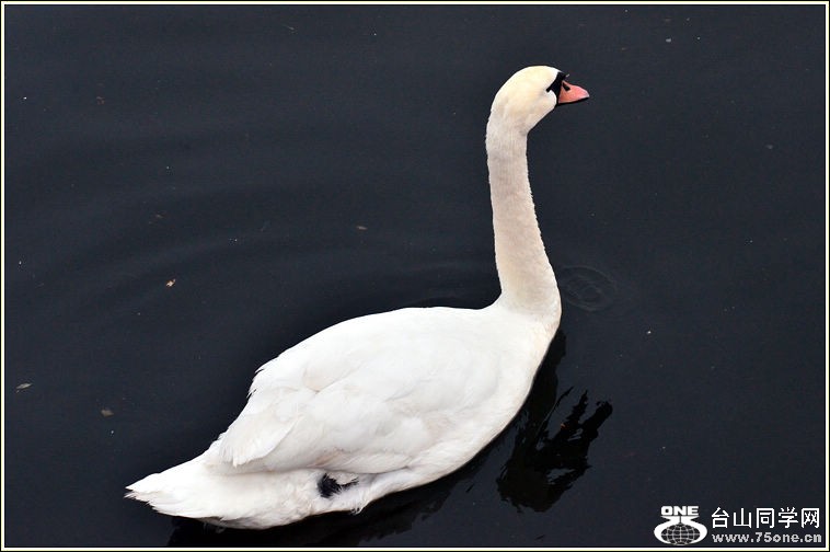 DSC_3769.jpg