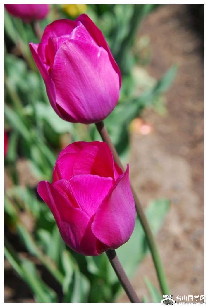 nEO_IMG_DSC_0633.jpg