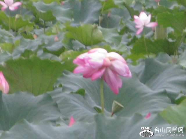 IMG_3098.jpg
