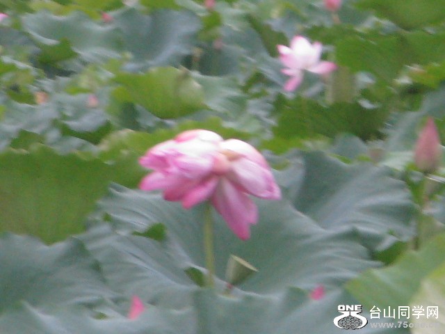 IMG_3097.jpg