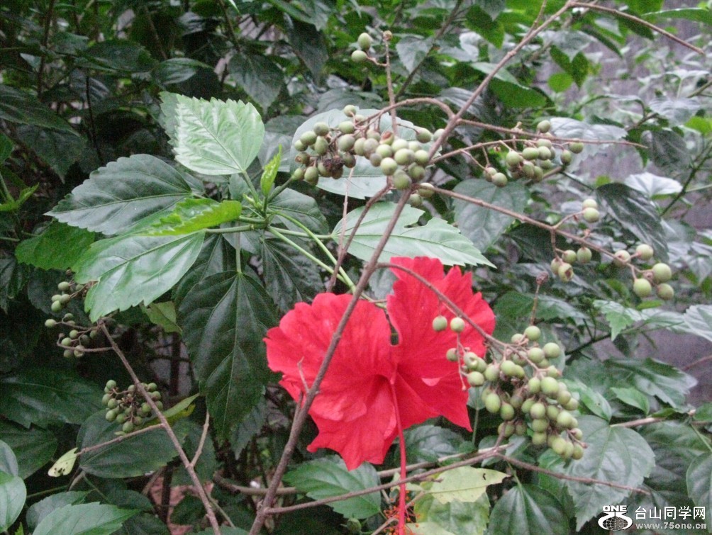 93.jpg